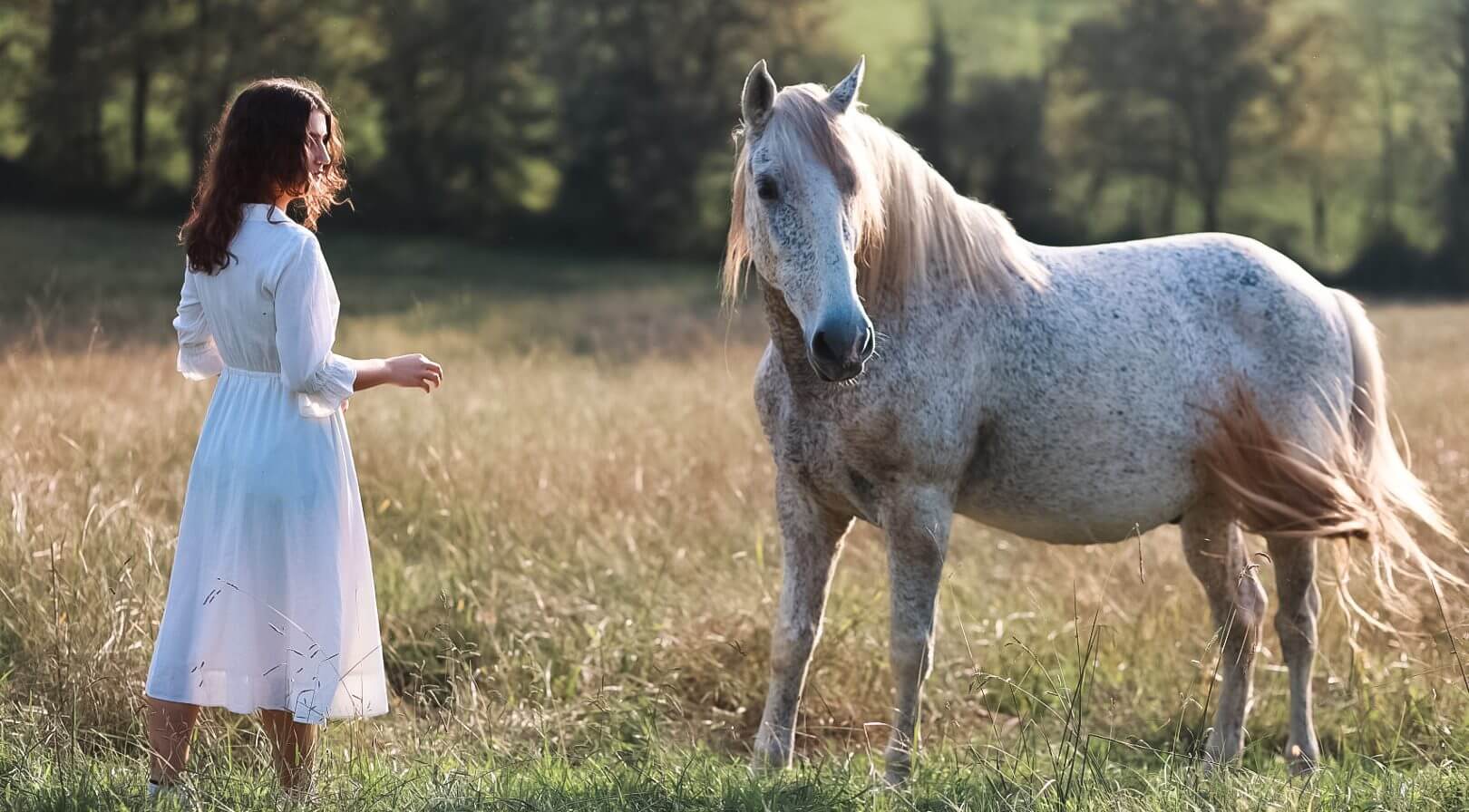 photo jeune fille avec un cheval blanc dans une prairie